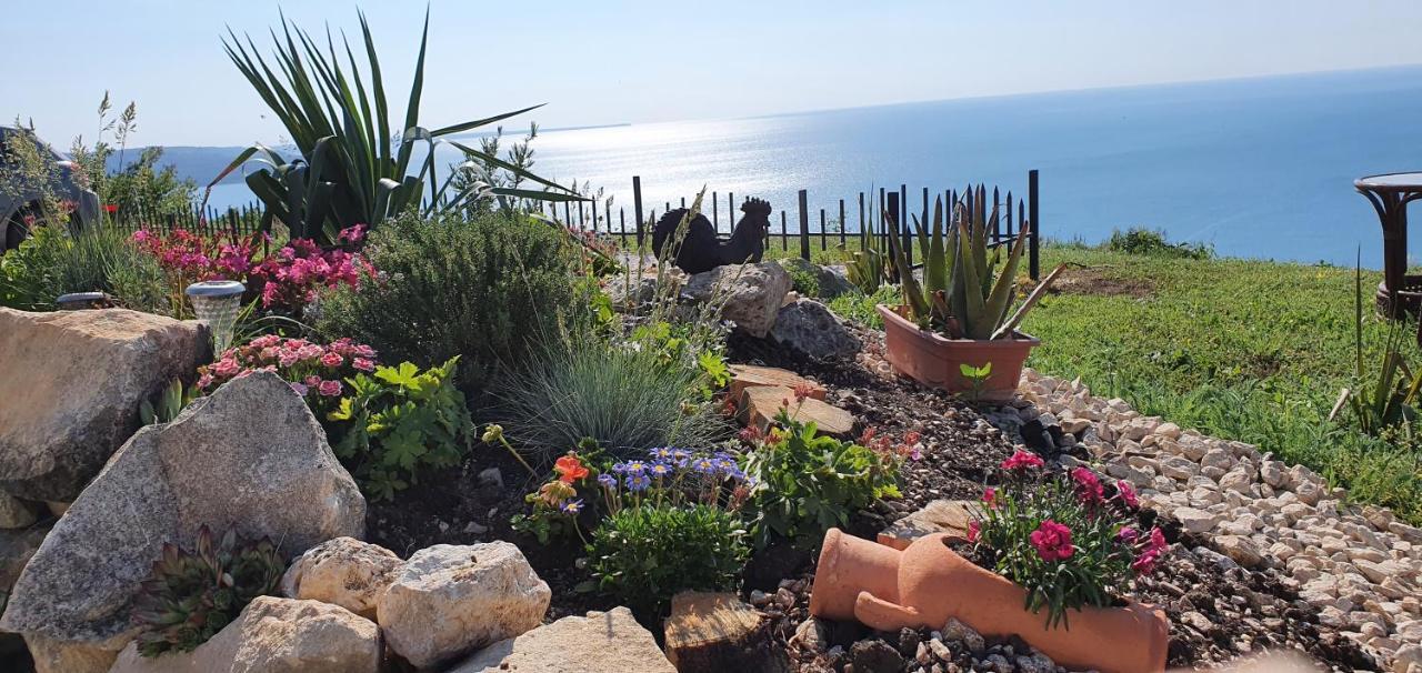 Sunny House Izgrev Βίλα Μπαλτσίκ Εξωτερικό φωτογραφία